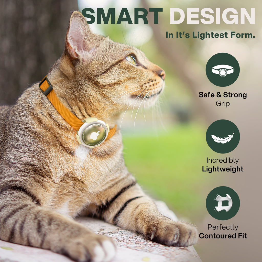SNAP! Multi-Pack — Mix, Match & Save 25%