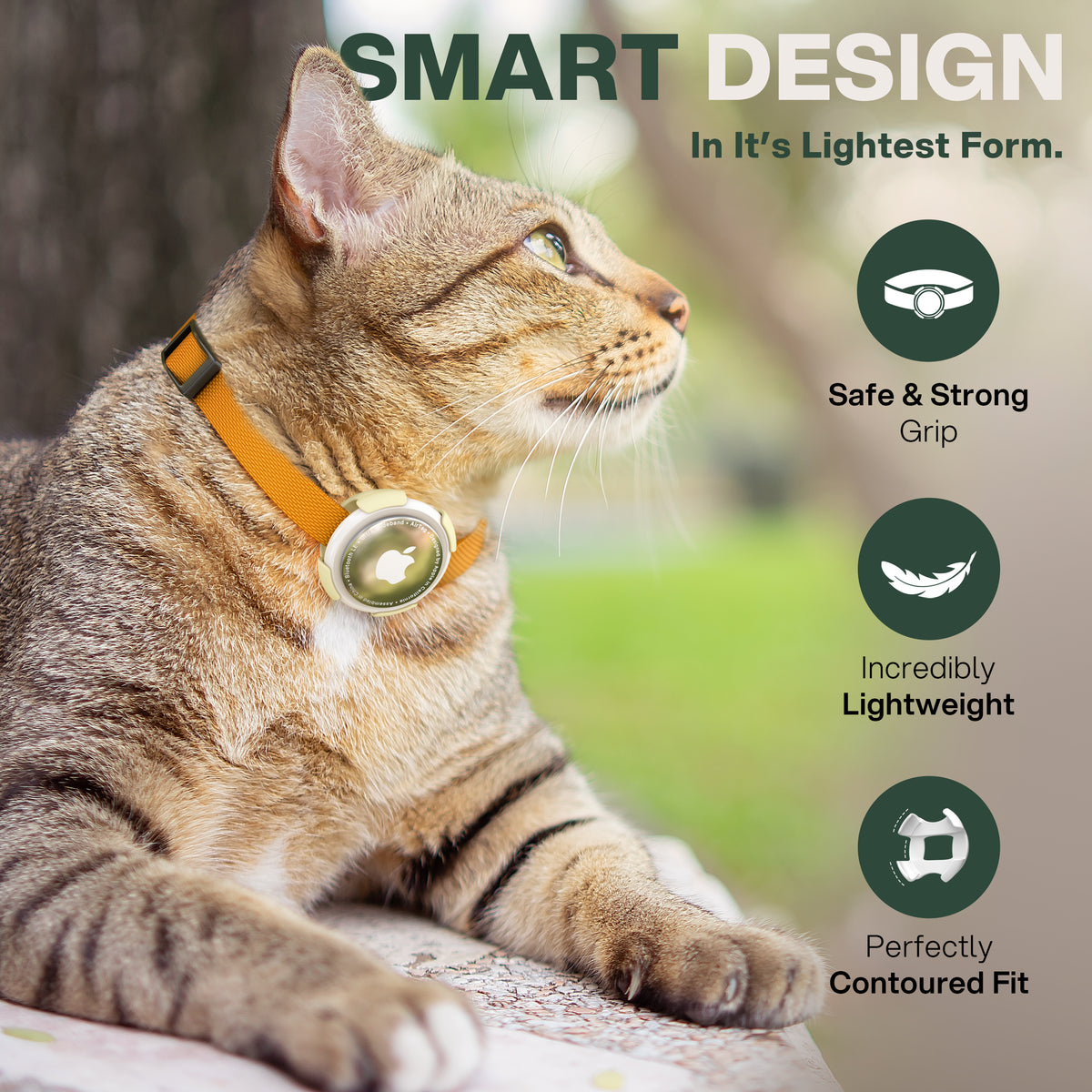 SNAP! Multi-Pack — Mix, Match & Save 25%